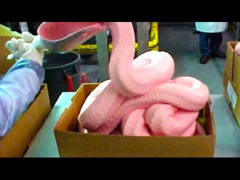 Remember “Pink Slime?” ABC Faces Billions In Defamation&nbsp;Trial