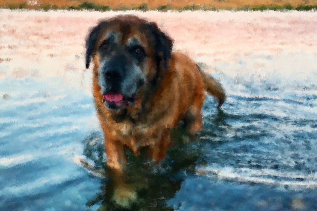 Public Policy Advocacy Highlights For August&nbsp;2022